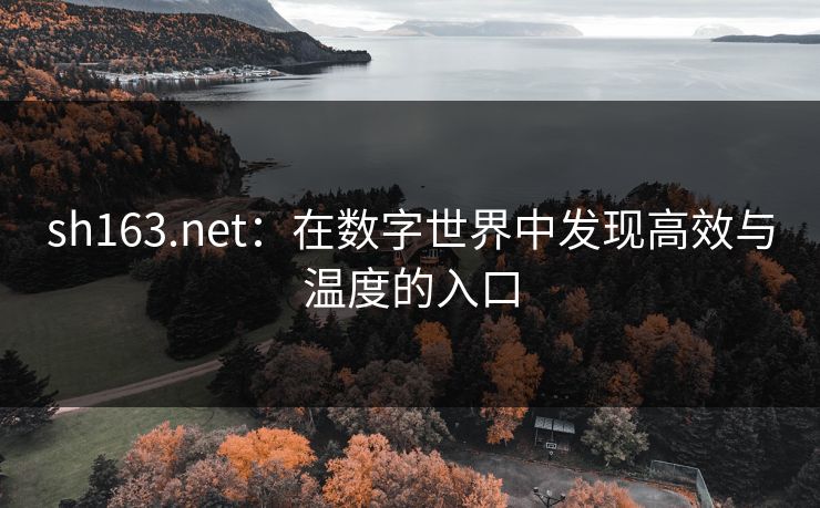 sh163.net:在数字世界中发现高效与温度的入口 sh163.net:在数字世界中发现高效与温度的入口