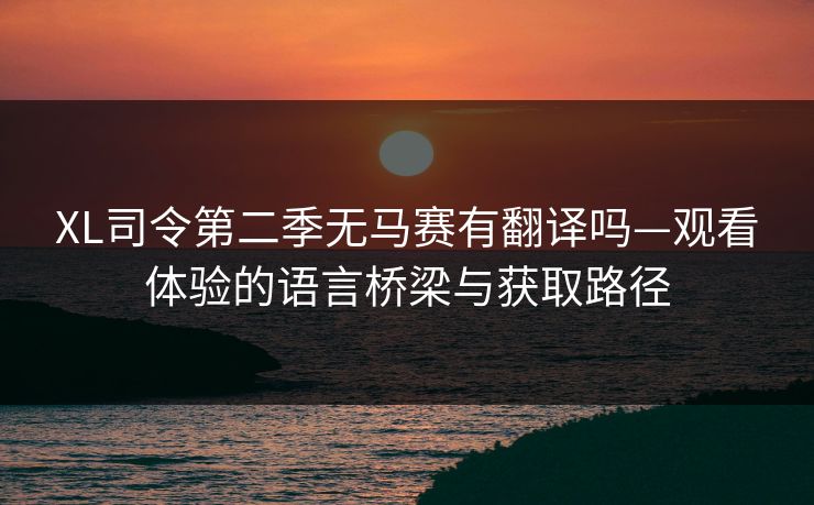 XL司令第二季无马赛有翻译吗—观看体验的语言桥梁与获取路径